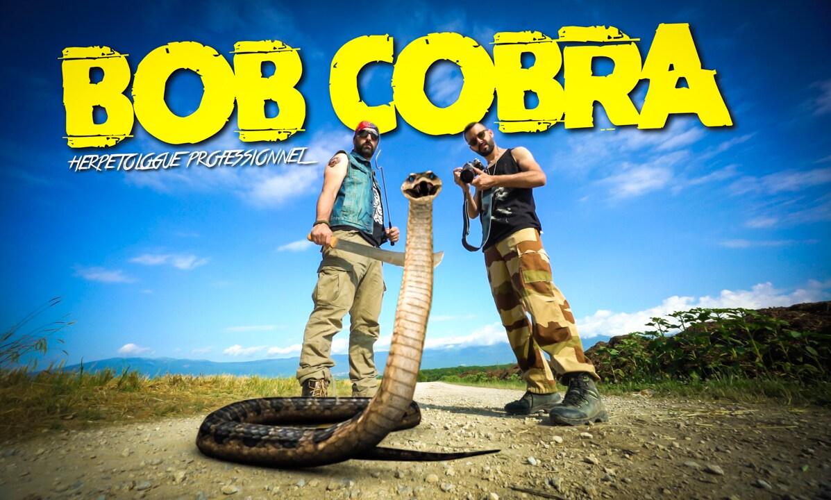 Bob Cobra, expert en reptiles