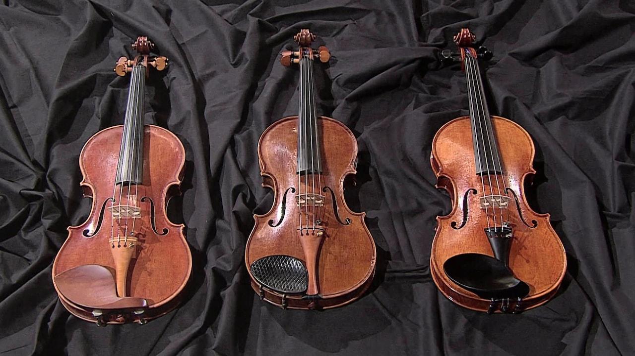 Drei Geigenbauer für drei Violinen