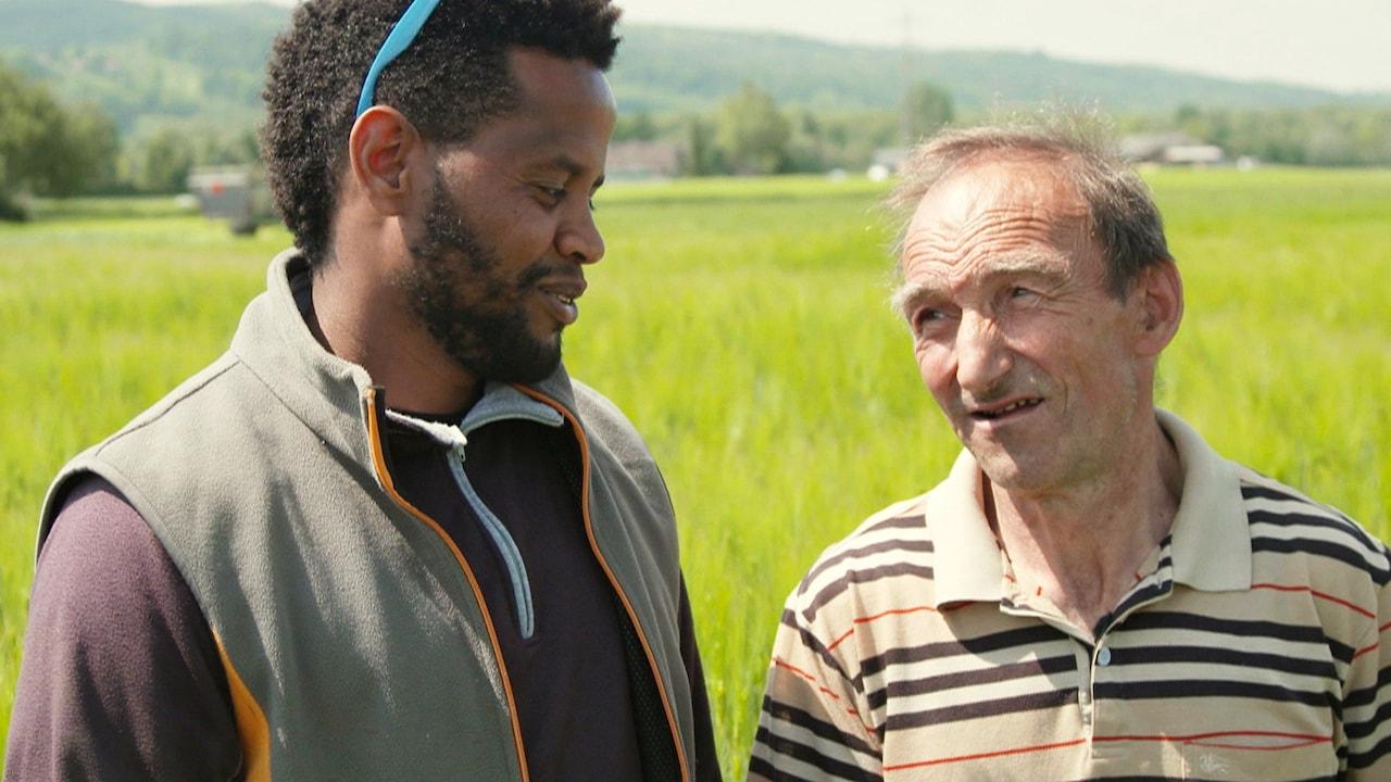 Il contadino Ramser e gli eritrei
