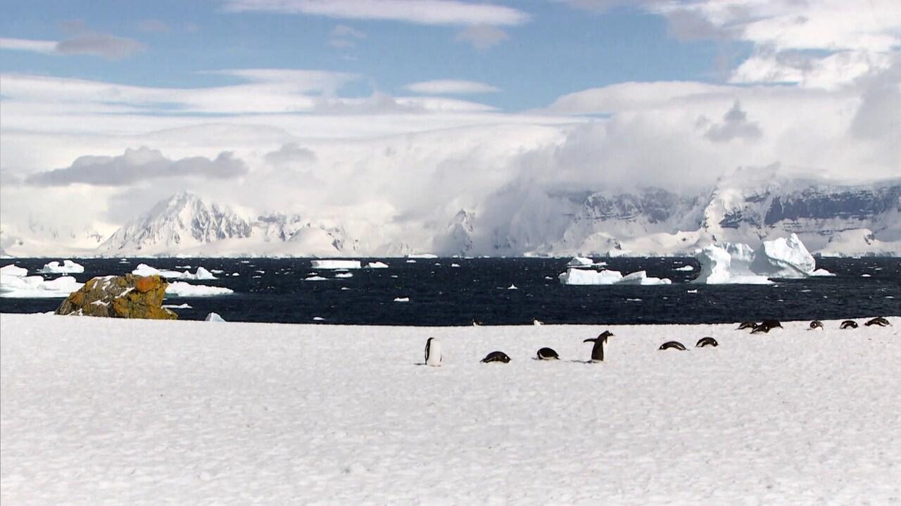 Die Antarktis, mein weisser Planet