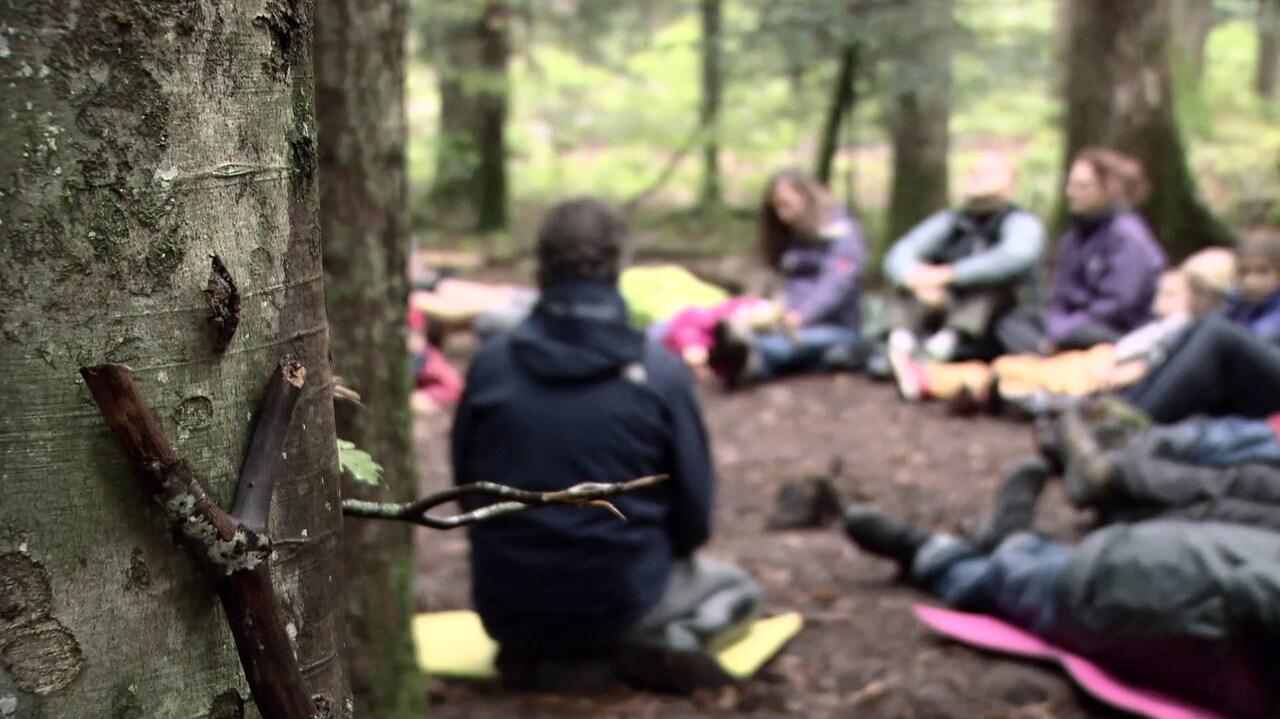 La forêt pour école - Episode 1