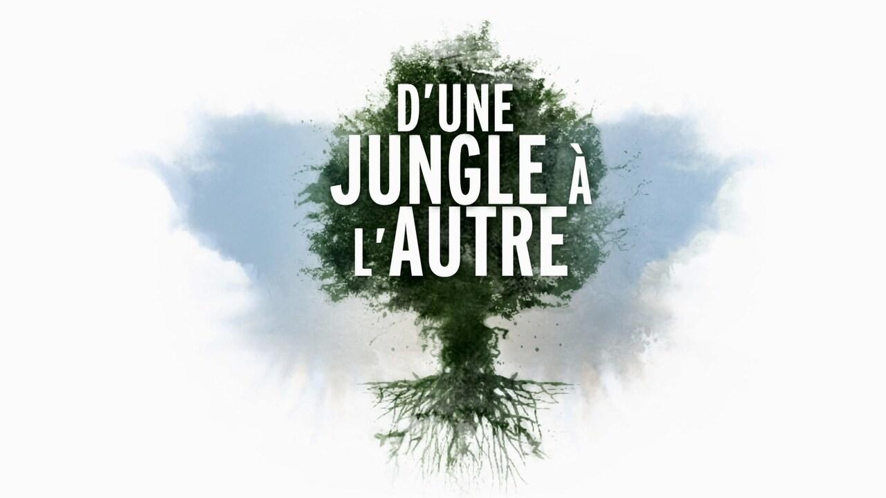 Von Dschungel zu Dschungel