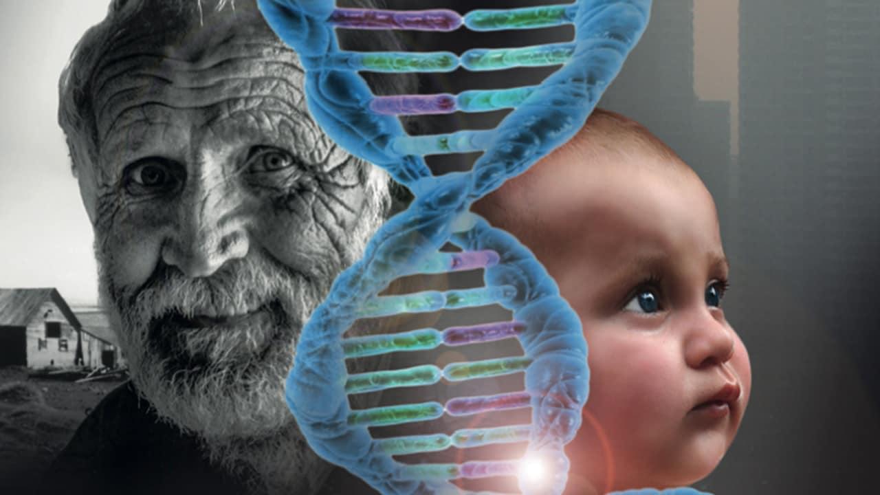 Epigenetik – Sind wir Gene oder Umwelt?