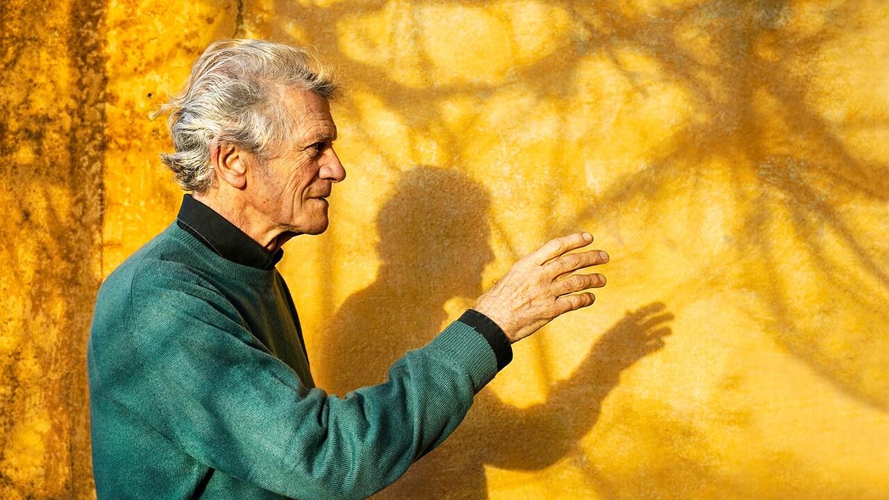 Alberto Nessi: Schattenblumen